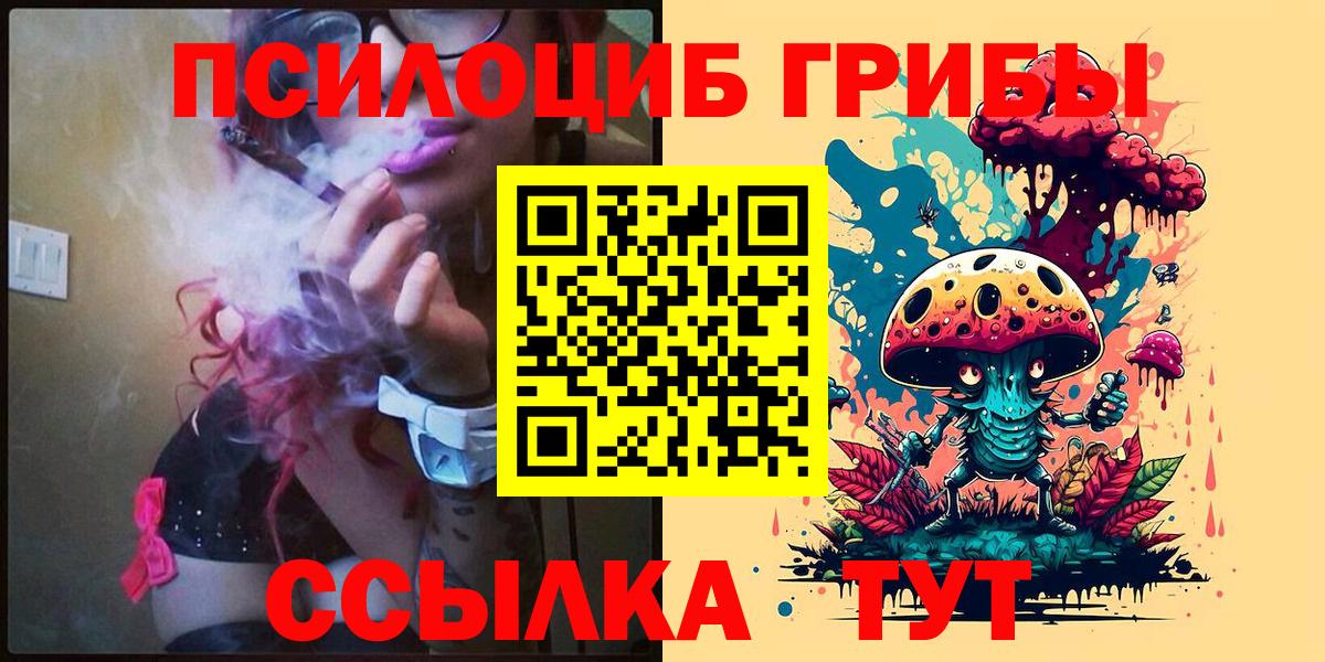 Псилоцибиновые грибы мицелий  Вход с VPN  Каменск-Шахтинский  Псилоцибиновые грибы GOLDEN TEACHER 