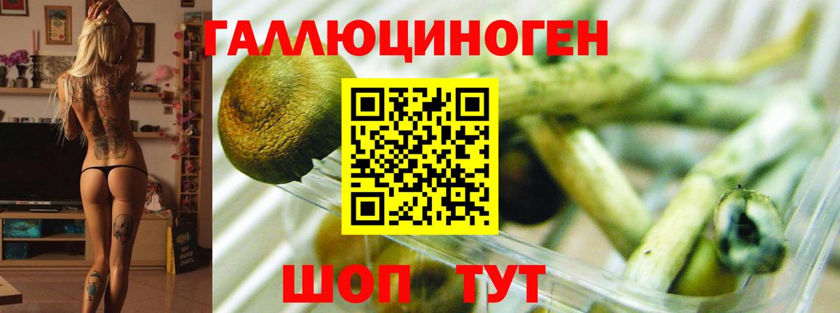 Галлюциногенные грибы мухоморы Каменск-Шахтинский